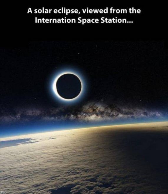 funny-pictures-1119