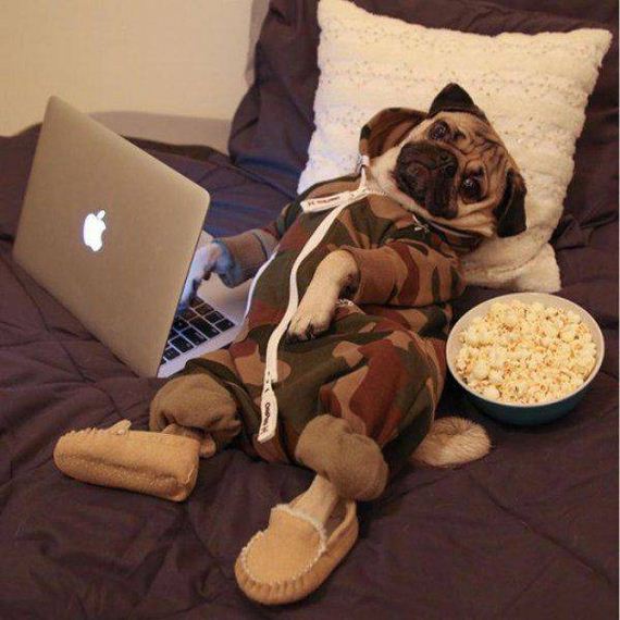 funny-pictures-1119