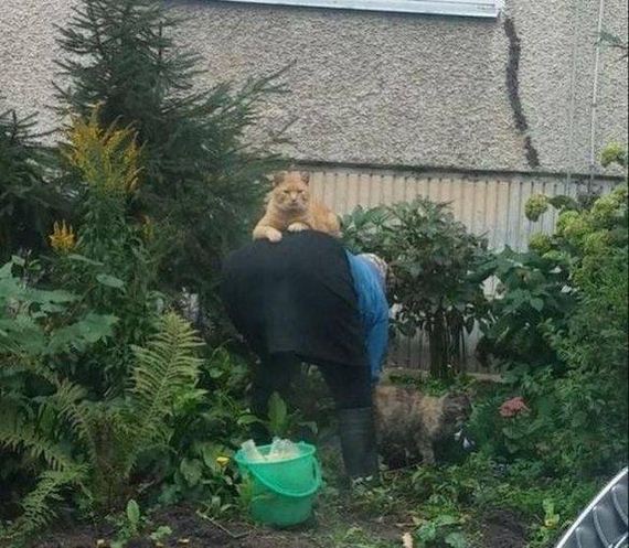 funny-pictures-1119