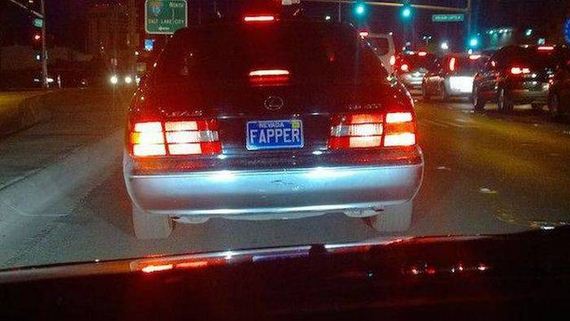 funny-pictures-1124