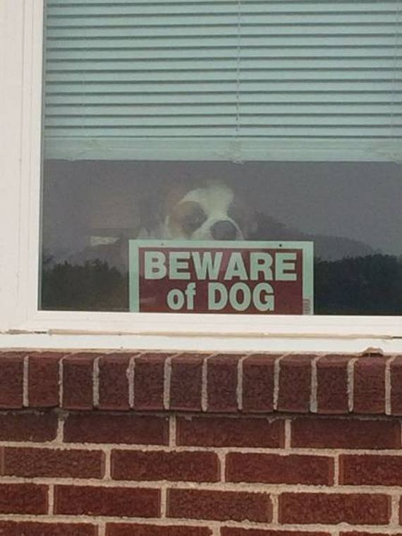 funny-pictures-1124