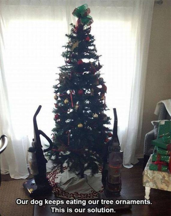 funny-pictures-1124