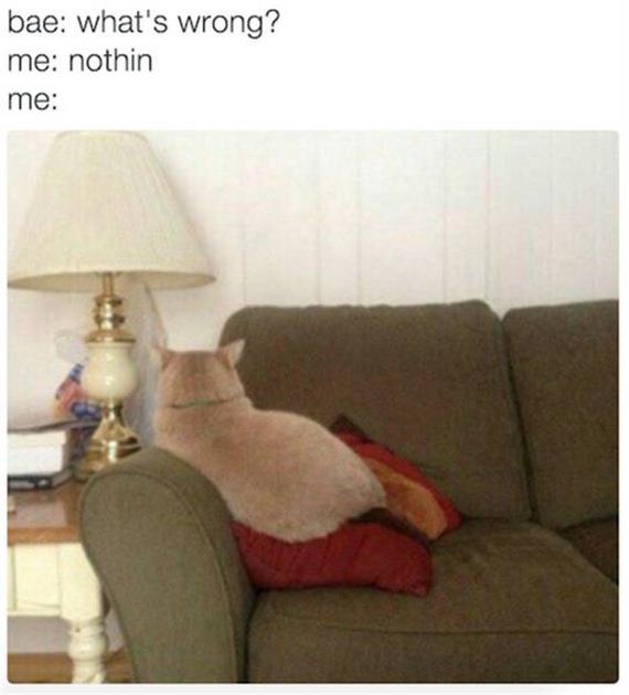 funny-pictures-1124