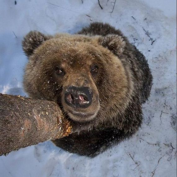 funny-pictures-1125
