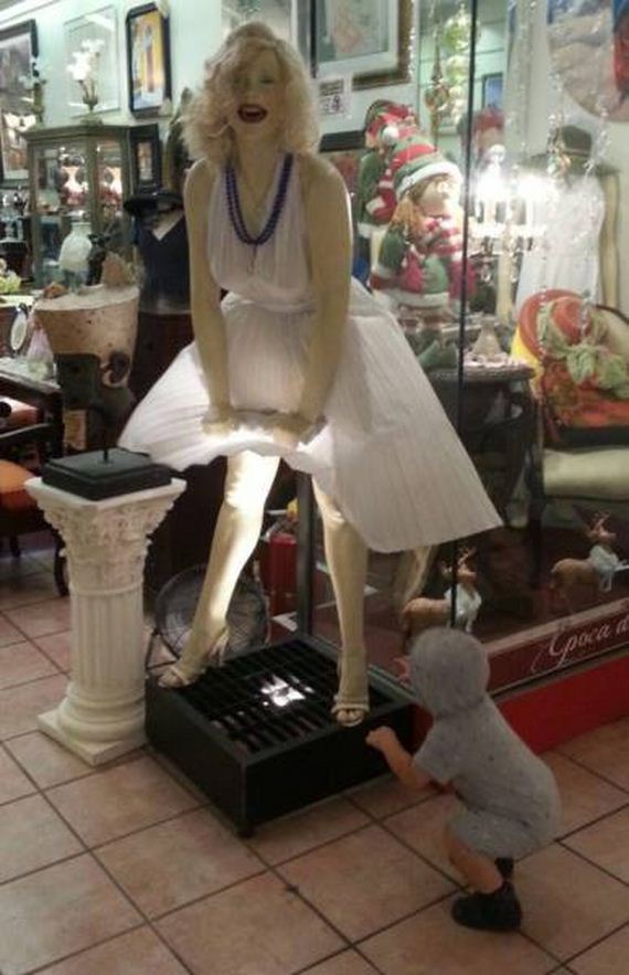 funny-pictures-1127