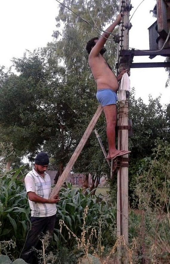 funny-pictures-1131