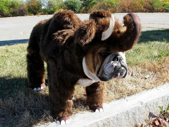 funny-pictures-1131