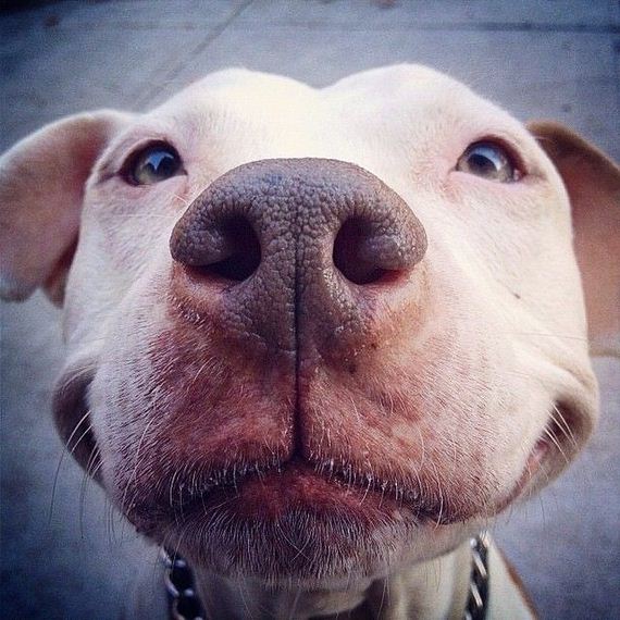 funny-pictures-1131