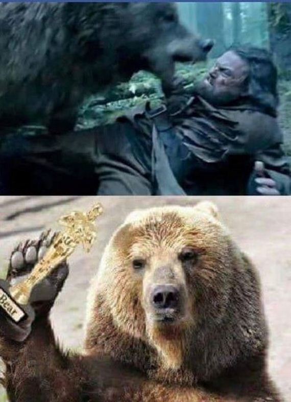 funny-pictures-1131