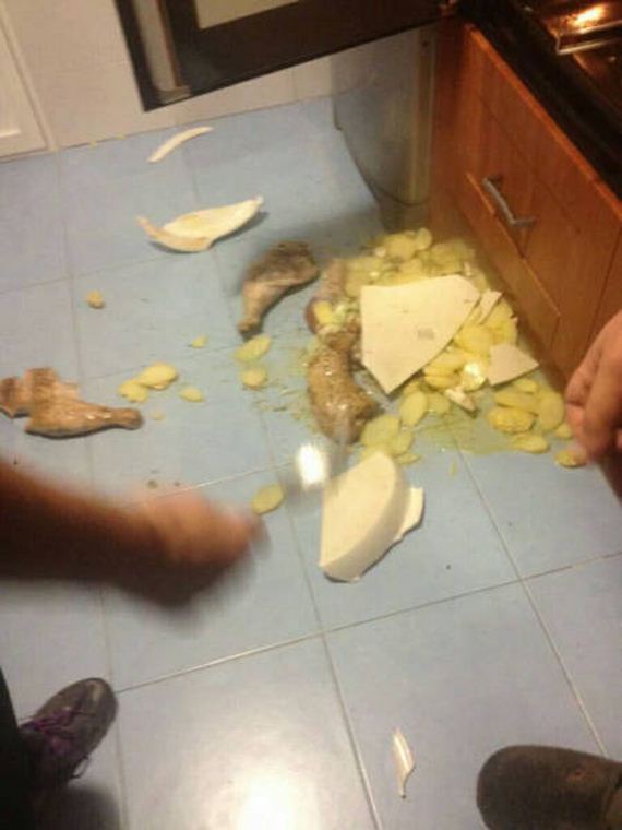 funny-pictures-1131
