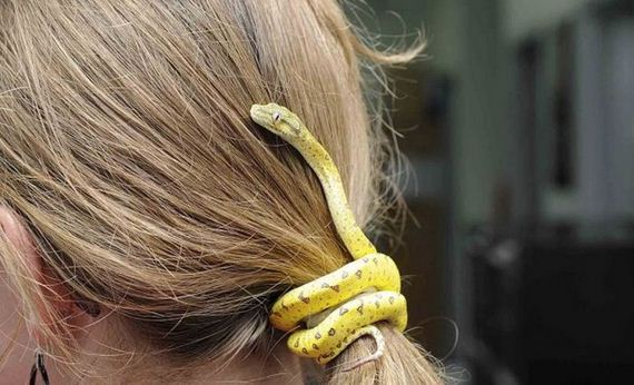funny-pictures-1132