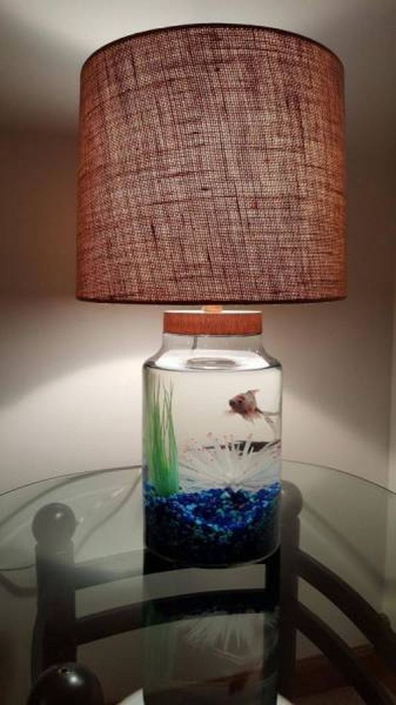 funny-pictures-1132