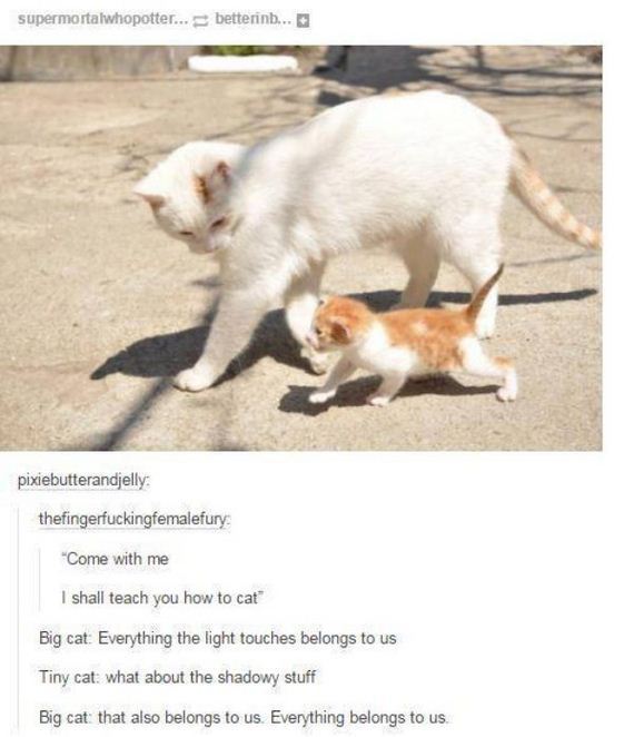funny-pictures-1133