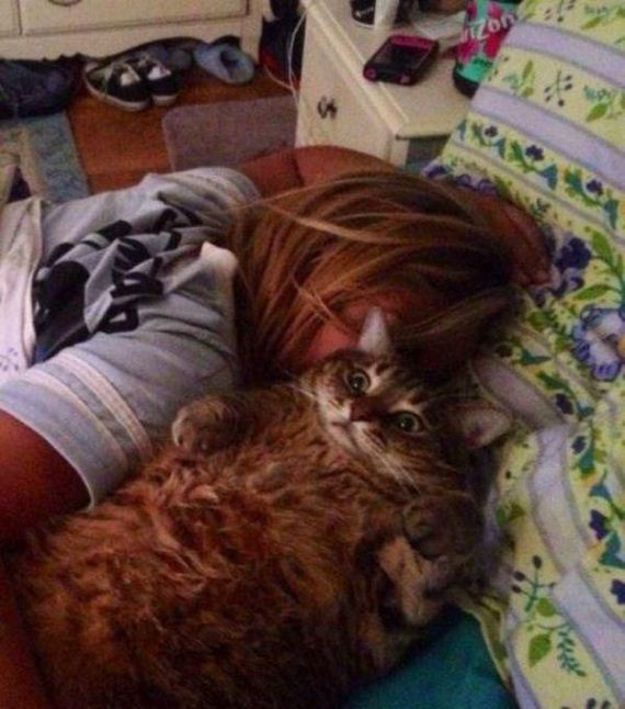 funny-pictures-1133