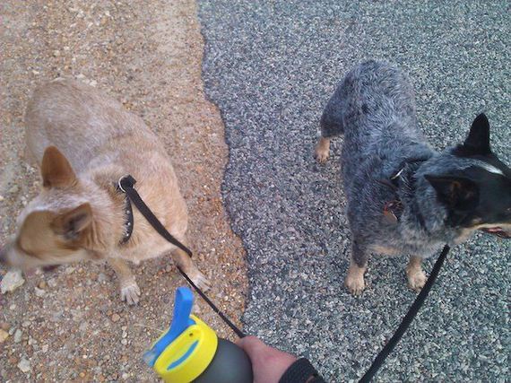 funny-pictures-1133