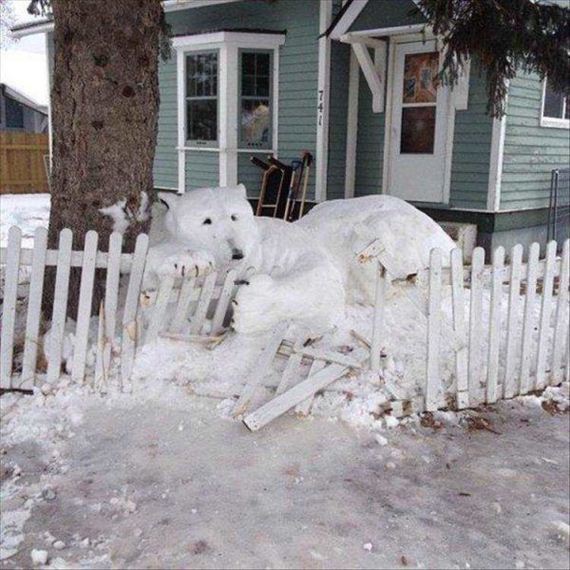 funny-pictures-1133
