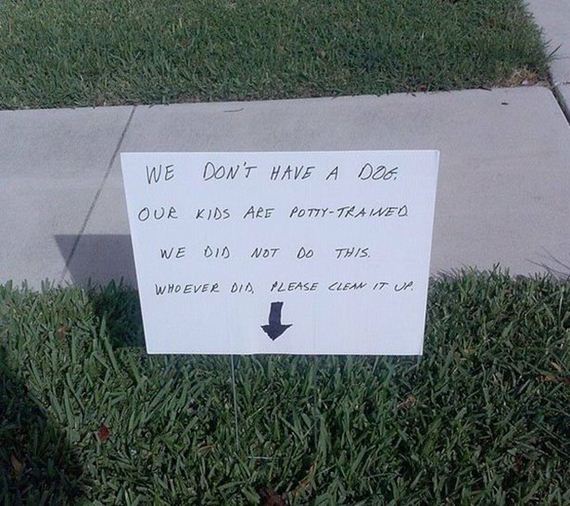 funny-pictures-1134