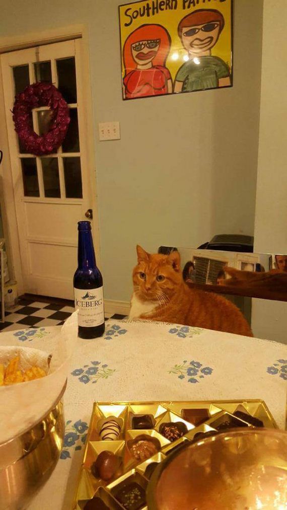 funny-pictures-1134