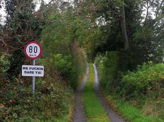 funny-pictures-1134