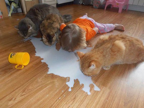 funny-pictures-1134