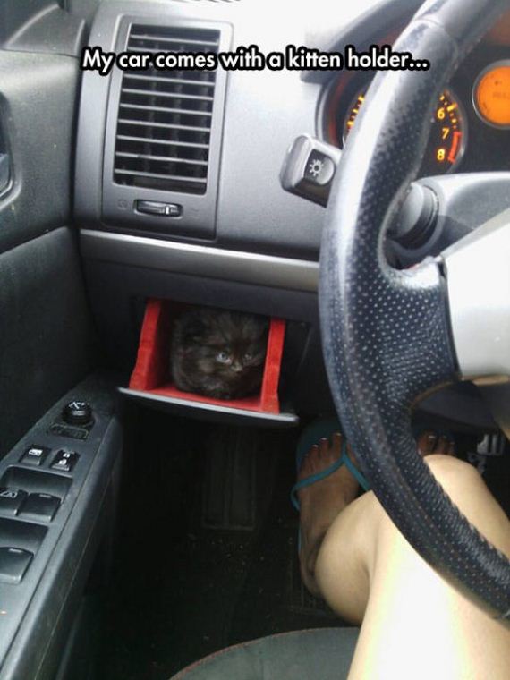 funny-pictures-1135