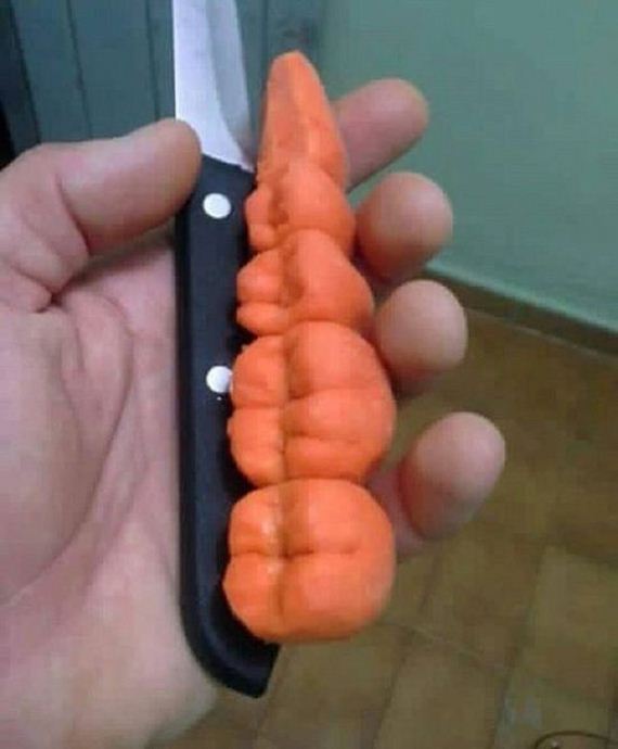 funny-pictures-1135