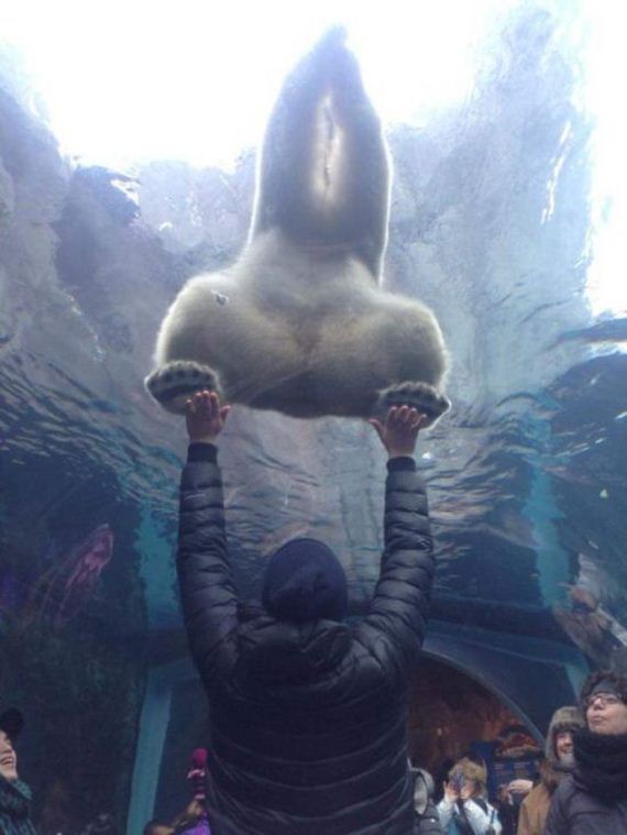 funny-pictures-1135