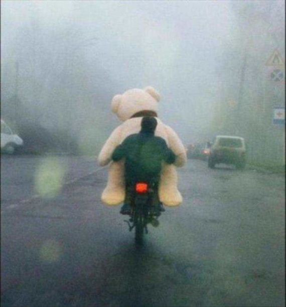 funny-pictures-1135