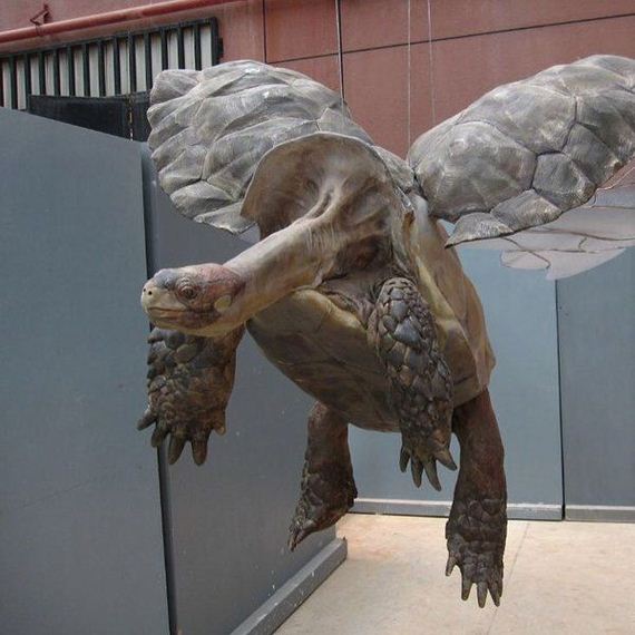 funny-pictures-1135