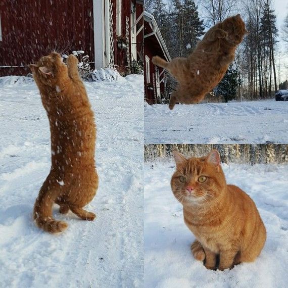 funny-pictures-1135