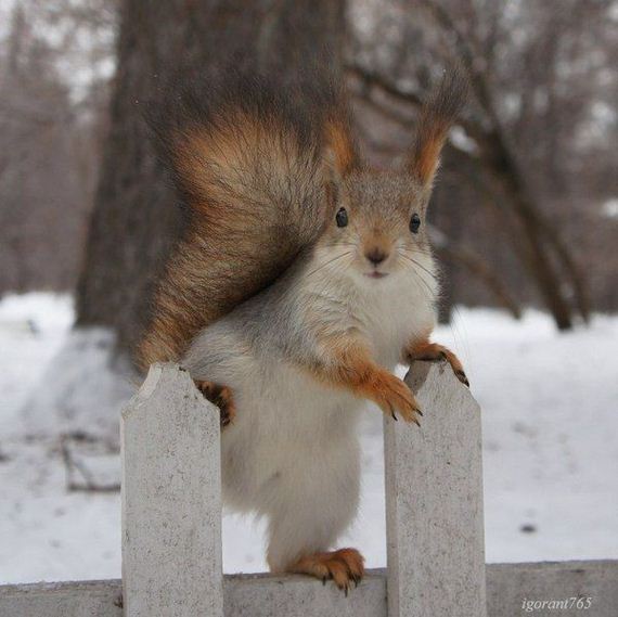 funny-pictures-1135