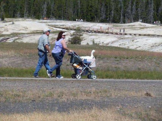 funny-pictures-1137