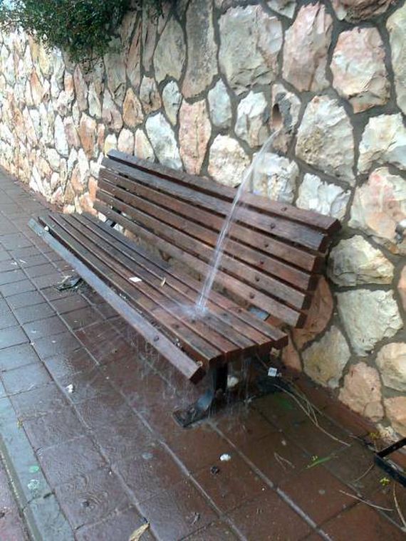 funny-pictures-1137