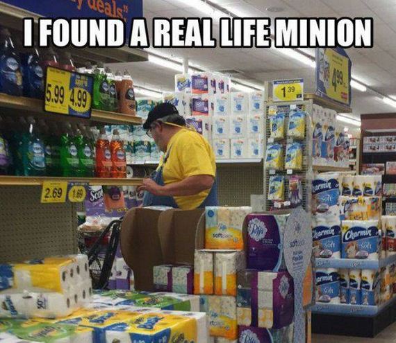 funny-pictures-1137