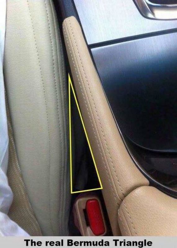 funny-pictures-1138