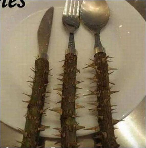 funny-pictures-1138