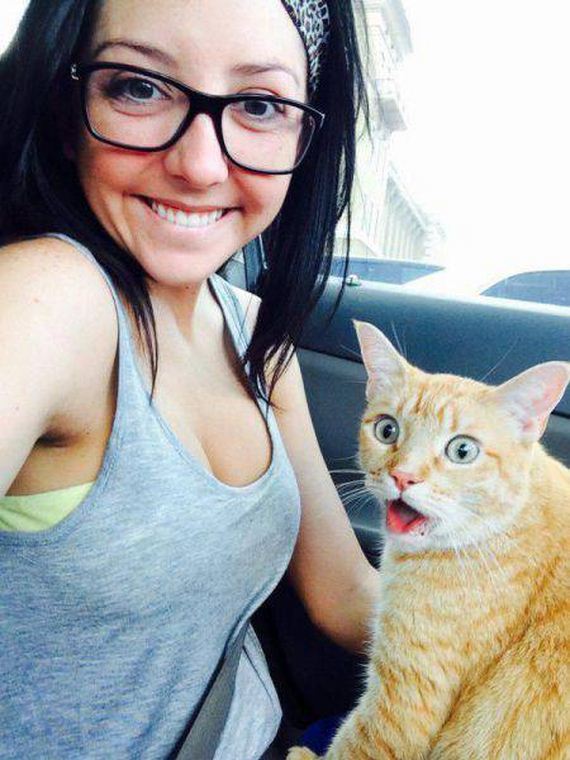 funny-pictures-1138
