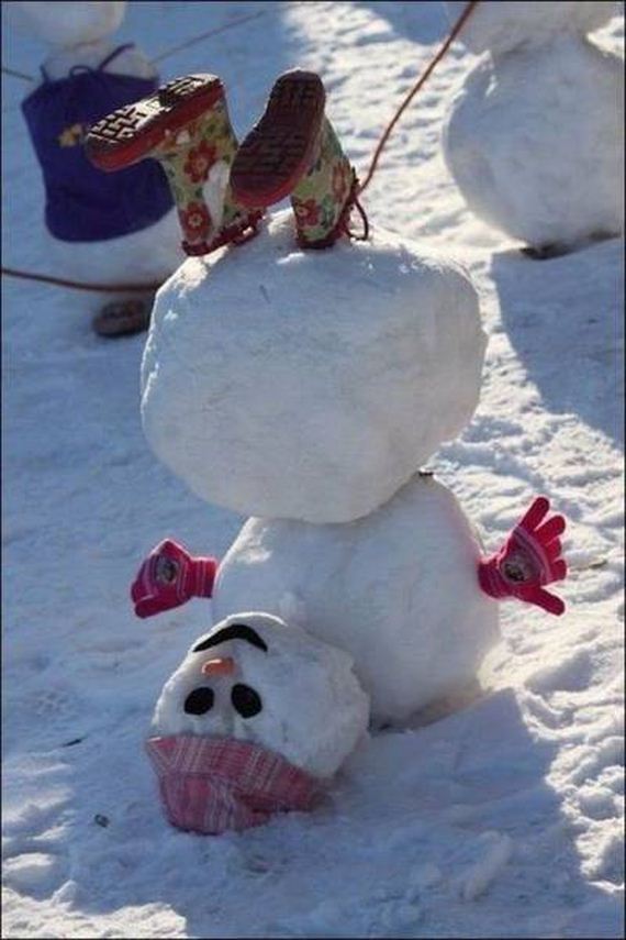 funny-pictures-1138
