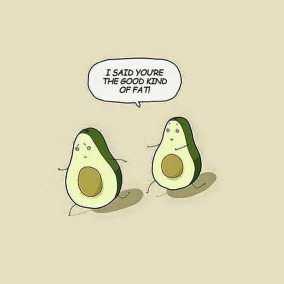 funny-pictures-1138