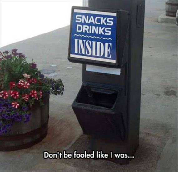 funny-pictures-1138