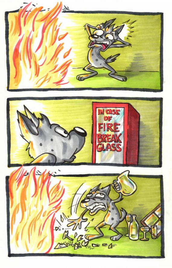 funny-pictures-1138