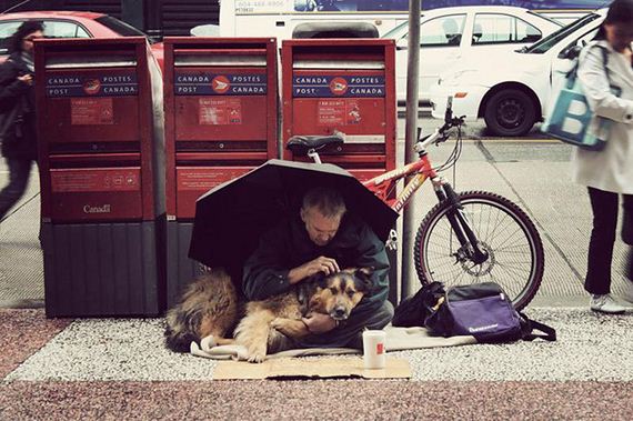 homeless_dogs