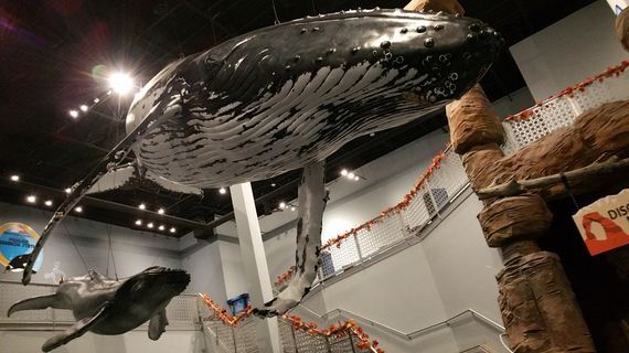 life-size-humpback