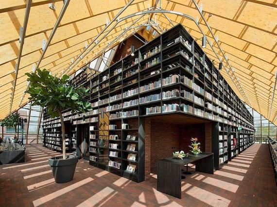 mountainous_library