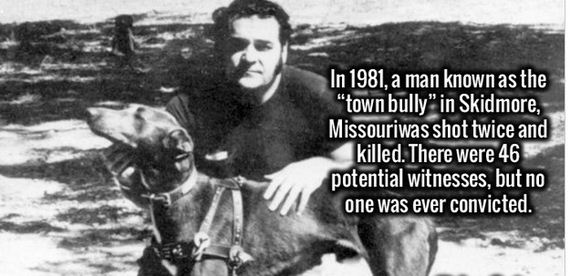 random_fact