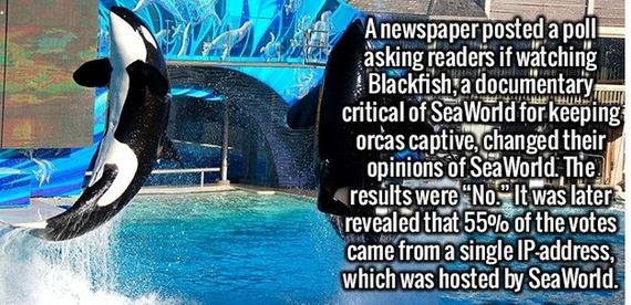 random_fact