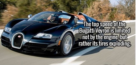 random_fact