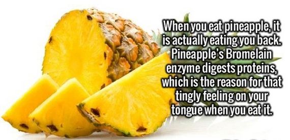 random_fact