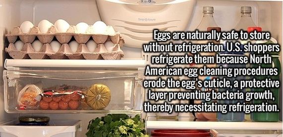 random_fact