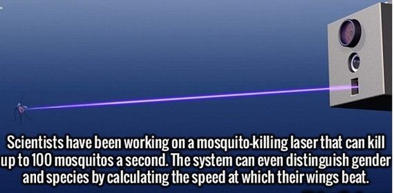 random_fact